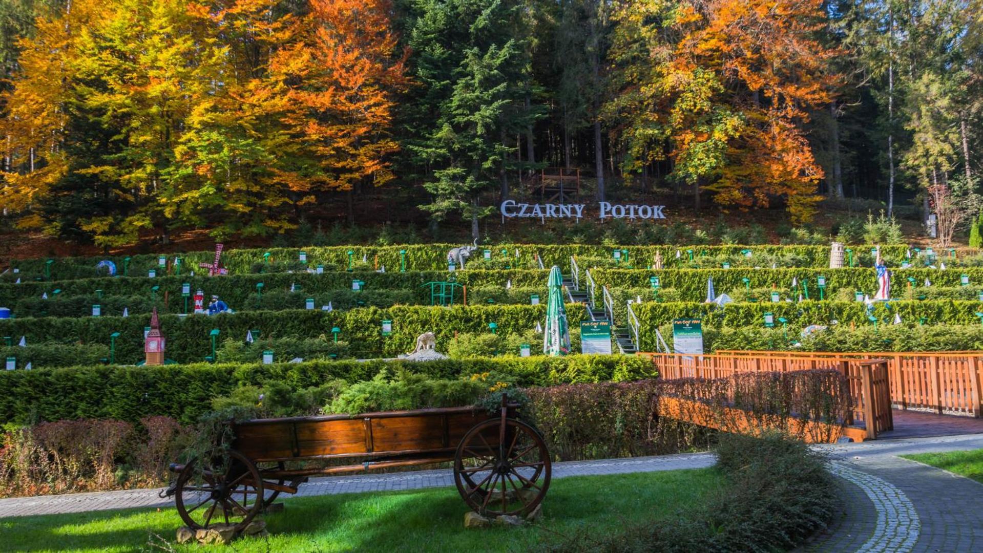 Hotel Czarny Potok Resort Spa & Conference Krynica-Zdrój Extérieur photo